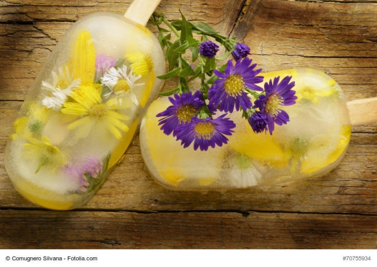 TOPINAMBUR | ALTES GEMÜSE WIEDER NEU ENTDECKT | TOPINAMBUR KAUFEN